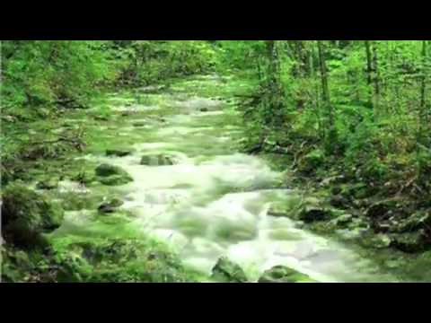 维尔瓦第 《四季·春》第一樂章, Vivaldi . The Four Seasons,Spring: Concerto No.1 in E Major: I .Allegro