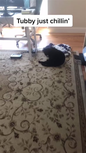 TubbyTubMan on TikTok