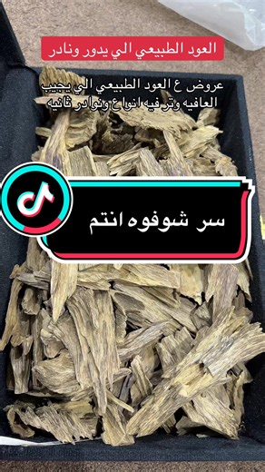 عود طبيعي 100% عند اخوي ابو احمد افضل انواع العود الي تجمل #عروض_الخرج_اليوم_ابوعبدالله #الخرج #الخرج_الآن #الخرج_الدلم_الصحنه_الهياثم #السعودية