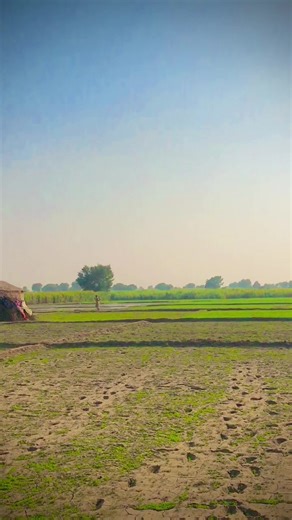 Humhy Jhokana Hai toh pyhle khud jhokna hoga🚩🥷