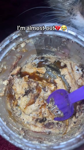 alpacadeals (@alpacadeals)’s videos with original sound - Mari