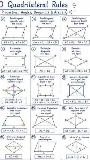 Quadrilaterals 💙