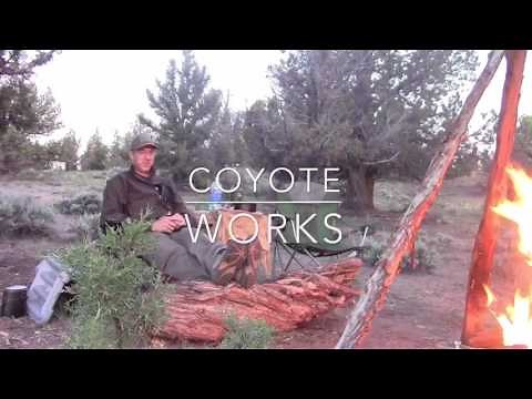 The Most Effective Mosquito and Insect Repellant for Back Country Camping