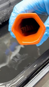 13K views | L306 Takutut red tiger pleco spawn! They took a lot of swishing to get out of that cave! #l306 #bloodredtigerpleco #pleco #aquarium #fish #pond #monsterfishkeeper #monsterfish #plecos #panaqolusclaustellifer #aquascape #tropicalfish #plantedtank #explore #explorepage #explorepage✨ #viral | Nicefishtank | Facebook