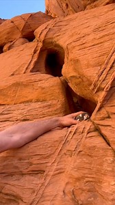 Crazy Discovery! 😱 | Our Weird & Wonderful Discoveries