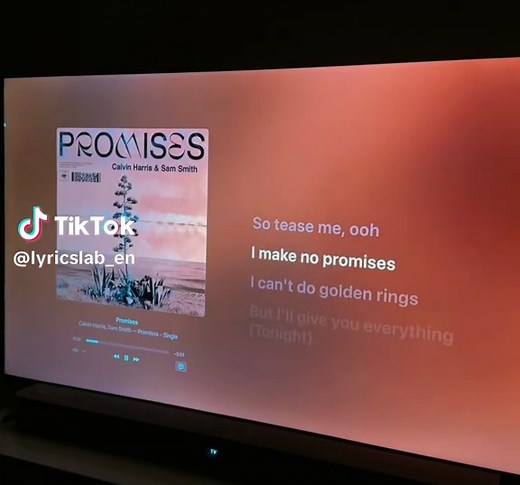 Promises Calvin Harris lyrics - full song words