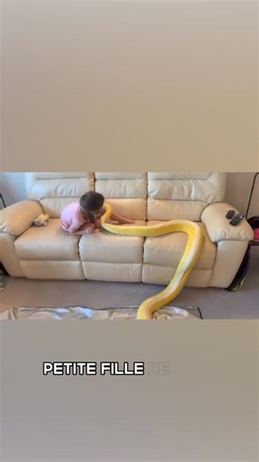 1.2M views · 10K reactions | Cette fille joue avec ce python tous les jours #pourtoi #histoirevraie #apprendre #python | get lost | Facebook