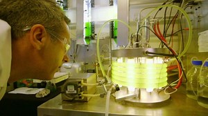 How to produce hydrogen from algae