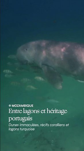 5 îles pour explorer les trésors de l’océan Indien
