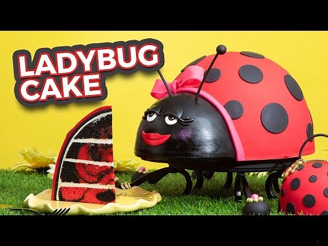 Ladybug CAKE - Red & Black Marble Cake