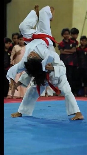 Amazing Jiu Jitsu Techniques combined