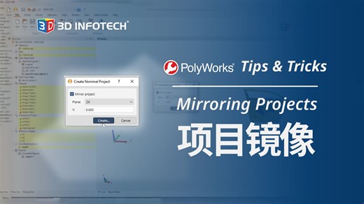 PolyWorks Tips 26 —— 汽车行业质量检测实用工具：创建镜像项目