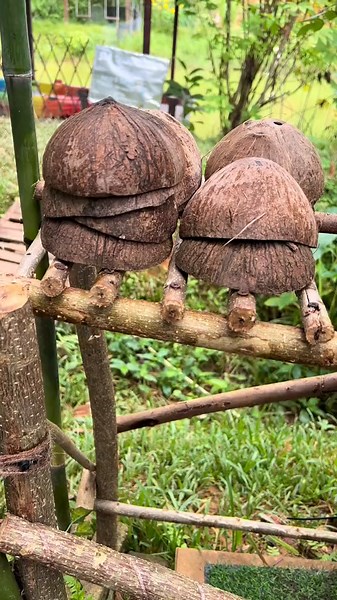 Cara Buat Congkak Menggunakan Bahan DIY