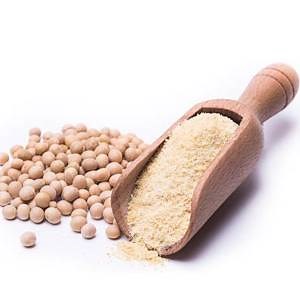 Soy Flour Substitute: 10 Delicious & Healthy Alternatives - Kitchen Habit