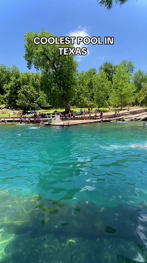 Coolest pool in Texas! 😎💦 📍 Barton Springs Pool #texas #visittexas #bartonsprings #bartonspringspool #austintx #austintexas #atx #texasexplorer #texastodo #texasthings #outdoors #nature #swimming