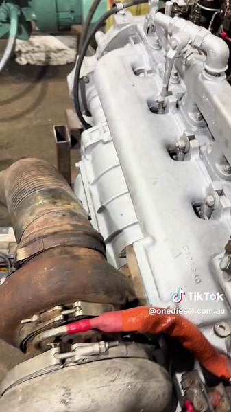 One Diesel on TikTok