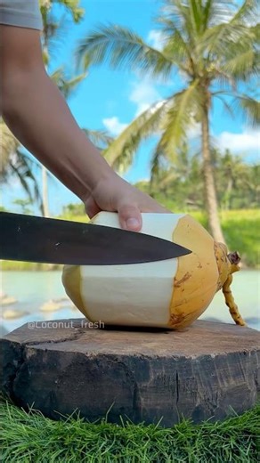 From Round to Cone — Satisfying Coconut Transformation