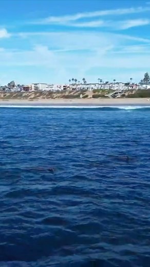 1.5K views · 61 reactions | City of Carlsbad on Reels | Facebook