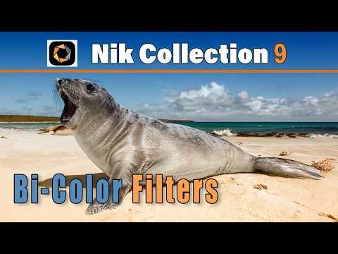 Bi-Color Filters in Nik 9 Color Efex | Create a Beautiful Two-Tone Color Grade (Tutorial)