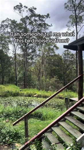 Identifying a Unique Bird Call in the Outback