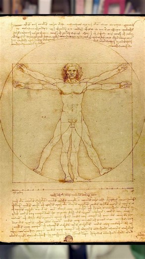 Leonardo da Vinci e seu desenho inestimável #aprendernotiktok #arte #leonardo #leonardodavinci #historiadaarte