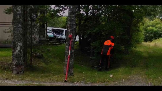 Effortless Backyard Clearing: Fast and Mess-Free Techniques