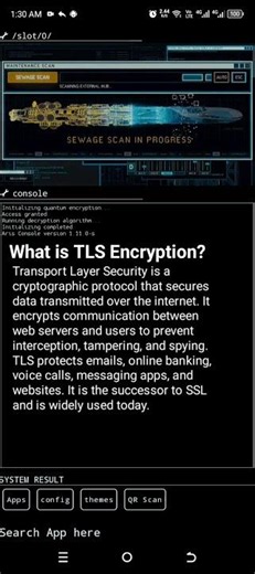 Is Your Data SAFE with TLS Encryption?