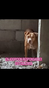 14 reactions · 16 shares | Caso externo urgente  Nos informan para...