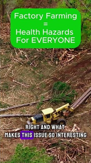 Factory farming isn’t just harming animals; it’s fueling deforestation