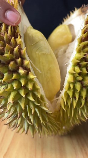 Delicious Dorian Recipe: Wild Cookbook Edition