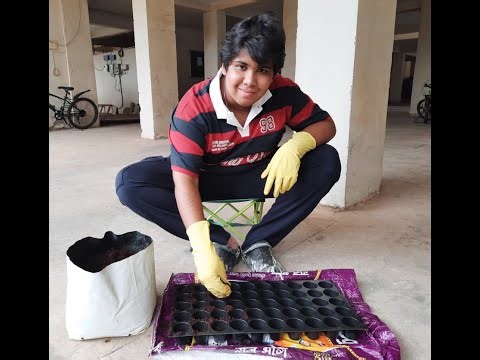 Are you ready ? Meet our new Propagator using new technique this year.