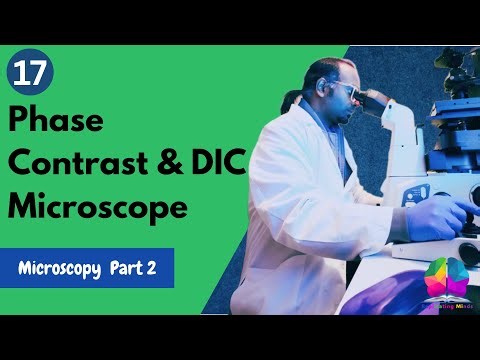 Phase Contrast Microscope & DIC Microscope | Advantages, Disadvantages & Applications