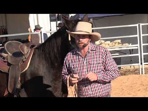 How to help an anxious horse (Mark Langley) It's how you are as a person