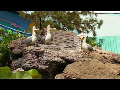 The Seas with Nemo & Friends at Disney's Epcot - Seagulls "Mine, Mine, Mine" - RAW Clip
