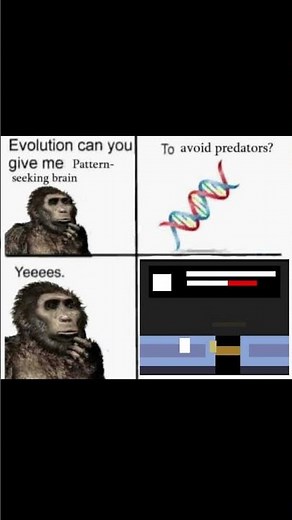 pattern seeking evolution