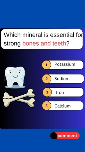Can You Answer This Simple Question📝//General Knowledge🤔//Quiz #generalknowledge #shortvideo