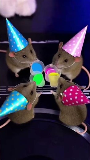 DJ Cat Spins While Mice Go Wild on the Dance Floor #global