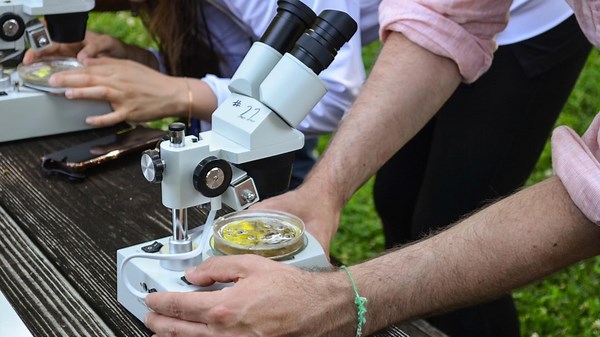 How Weather Cycles Might Rewrite Climate Science