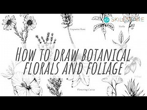How To Draw Botanical Florals and Foliage | A Step by Step Tutorial for Beginners