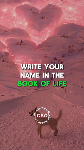 The Moment you receive Christ | Billy Graham Revelation 20: 11- 12 11Then I saw a great white throne and him who was seated on it. From his presence earth and sky fled away, and no place was found for them. 12And I saw the dead, great and small, standing before the throne, and books were opened. Then another book was opened, which is the book of life. And the dead were judged by what was written in the books, according to what they had done. #God #BillyGraham #jesus #jesuschrist #christian #Word