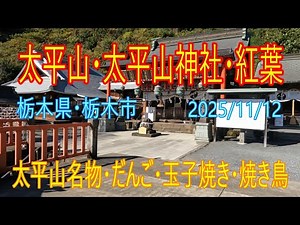 [Taiheizan Shrine - Autumn Foliage] Tochigi City, Tochigi Prefecture, December 9, 2025