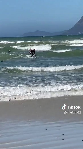 Crazy Surfing Experience in Cape Town