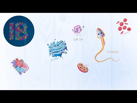 All IB Biology Drawings You Need (2021)
