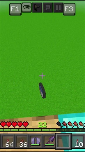 My Minecraft collage ☠️