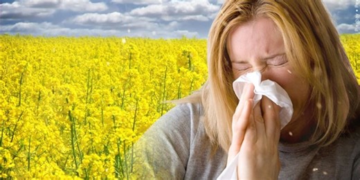 Tips and Tricks to battling allergy symptoms