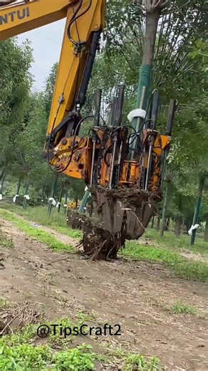 Iron hands gently hold the saplings, transplant them with soil and they will survive