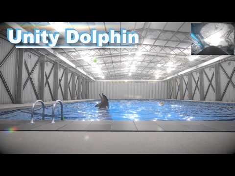 Unity Dolphin - realistic dolphin training