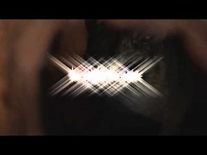 Julia Creek Dunnart Live Display@ At the Creek - Julia Creek Visitor Information Centre