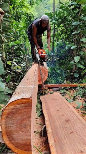 learn to split large wood #woodworking #chainsaw #furniture | Papz the Lumberjack