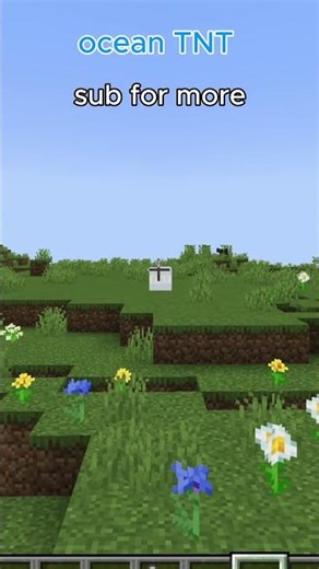 OCEAN TNT #minecraft